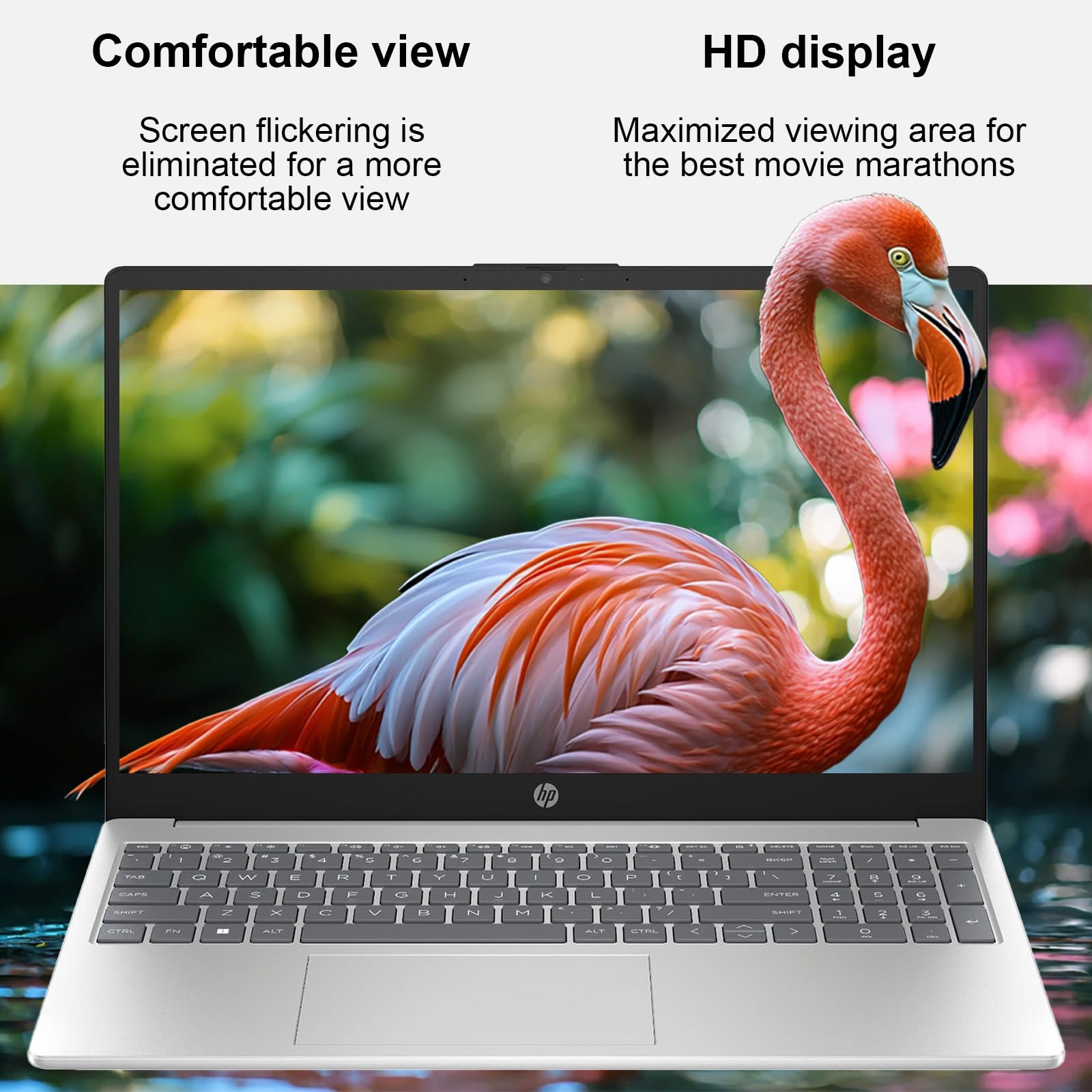 Amazon.com: HP 15.6